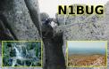 N1BUG QSL Card.jpg